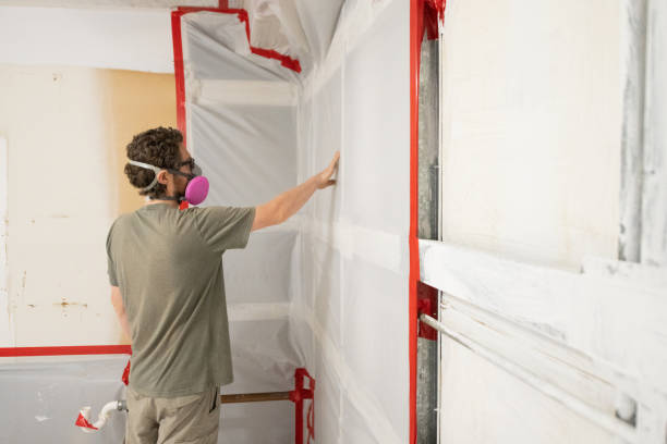 Best Attic Mold Removal  in Guernsey, WY